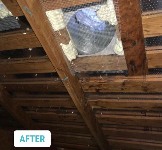 Glendale CertainTeed Attic InsulSafe Insulation Installation 4