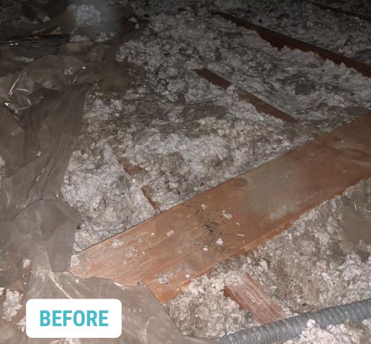 Inglewood CertainTeed Attic InsulSafe Insulation Installation 5