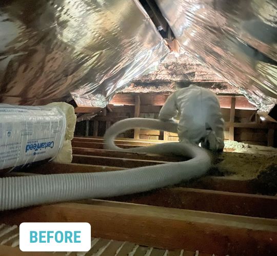 Santa Monica Insulation- Before