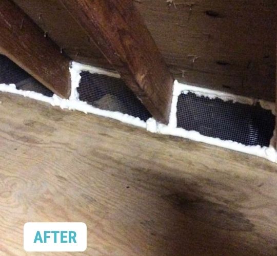 Sustainable Attic Insulation Installation 1
