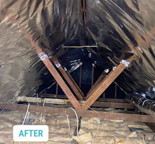 Thousand Oaks Insulation- Before